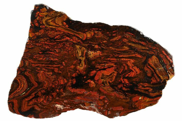 Polished Tiger Iron Stromatolite Slab - Billion Years #185936